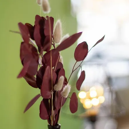 Gohlke L.o.f.t. Aparthotel